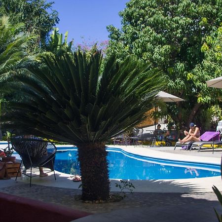 Casa Losodeli & Coworking- Adults Only Puerto Escondido  Zewnętrze zdjęcie